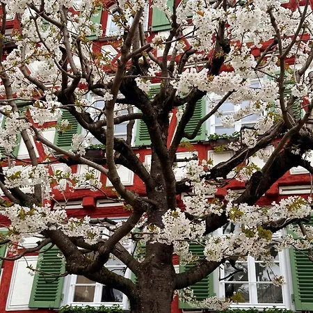 Altes Pfarrhaus Und Restaurant Otel Bad Überkingen