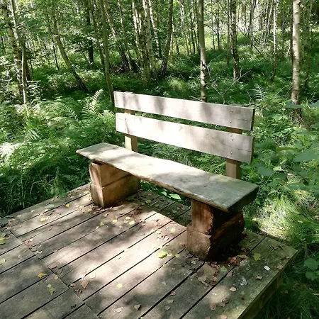 Altes Pfarrhaus Und Restaurant Otel