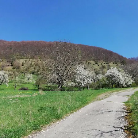 Altes Pfarrhaus Und Restaurant Otel 3*